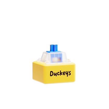 Clickey | Single Key Fidget Toy