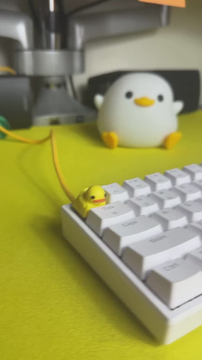 Quackey - Fidget Toy that Quacks!